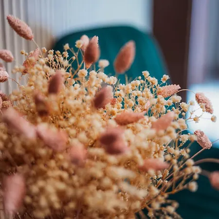 Nl Trastevere 3* Róma