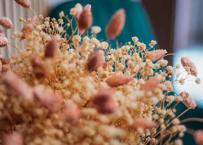 Nl Trastevere 3* Rom